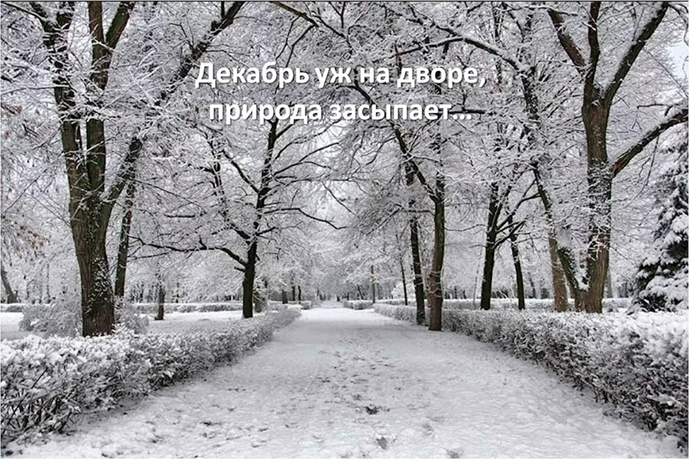 Erster Schnee