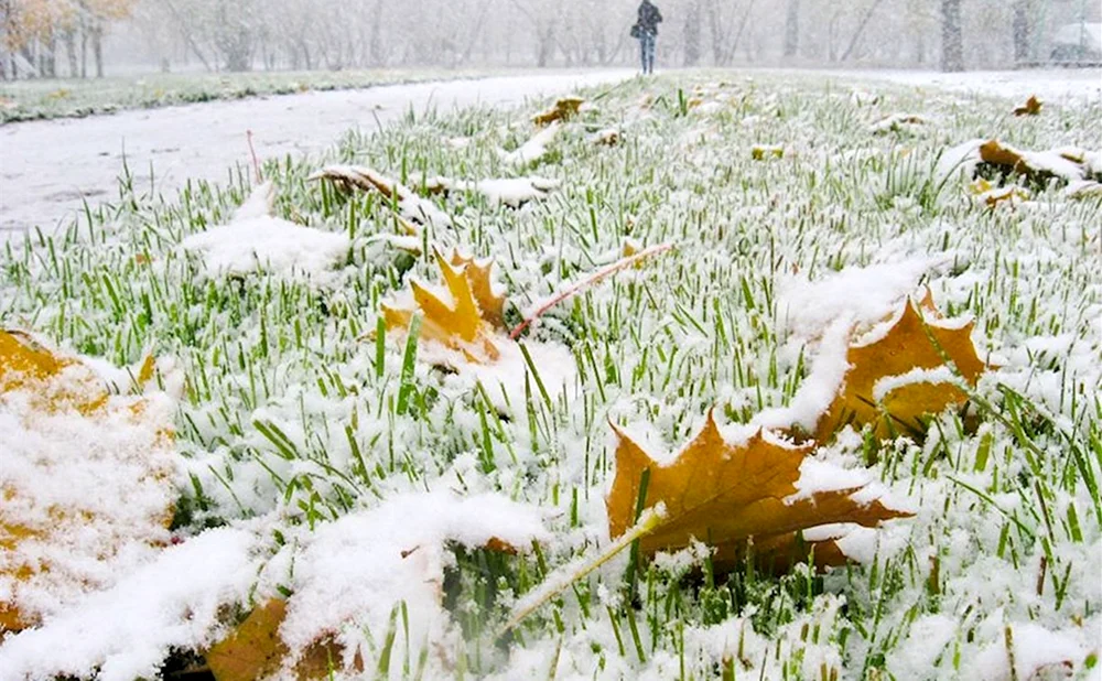 Eisahorn Winter