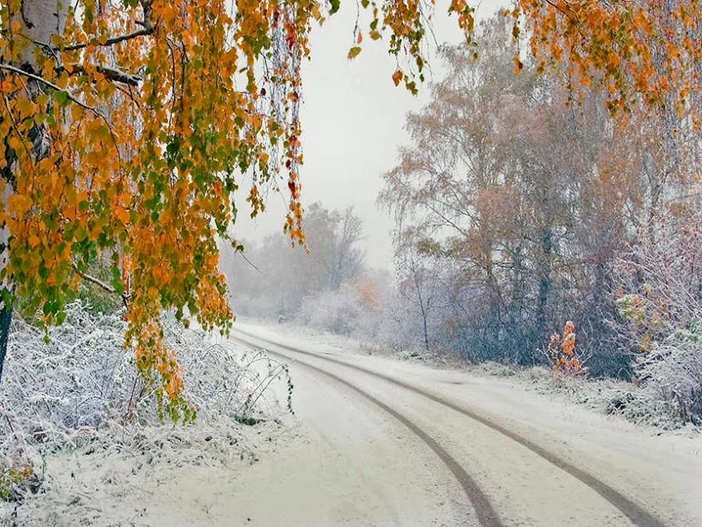 Erster Schnee