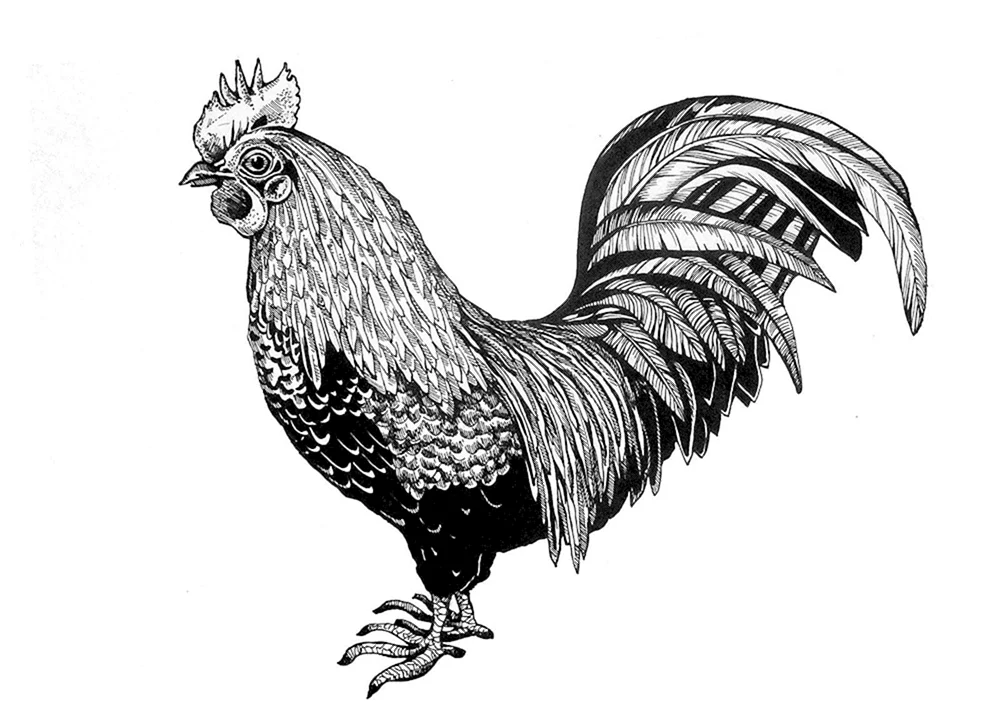 Hahn Gemälde