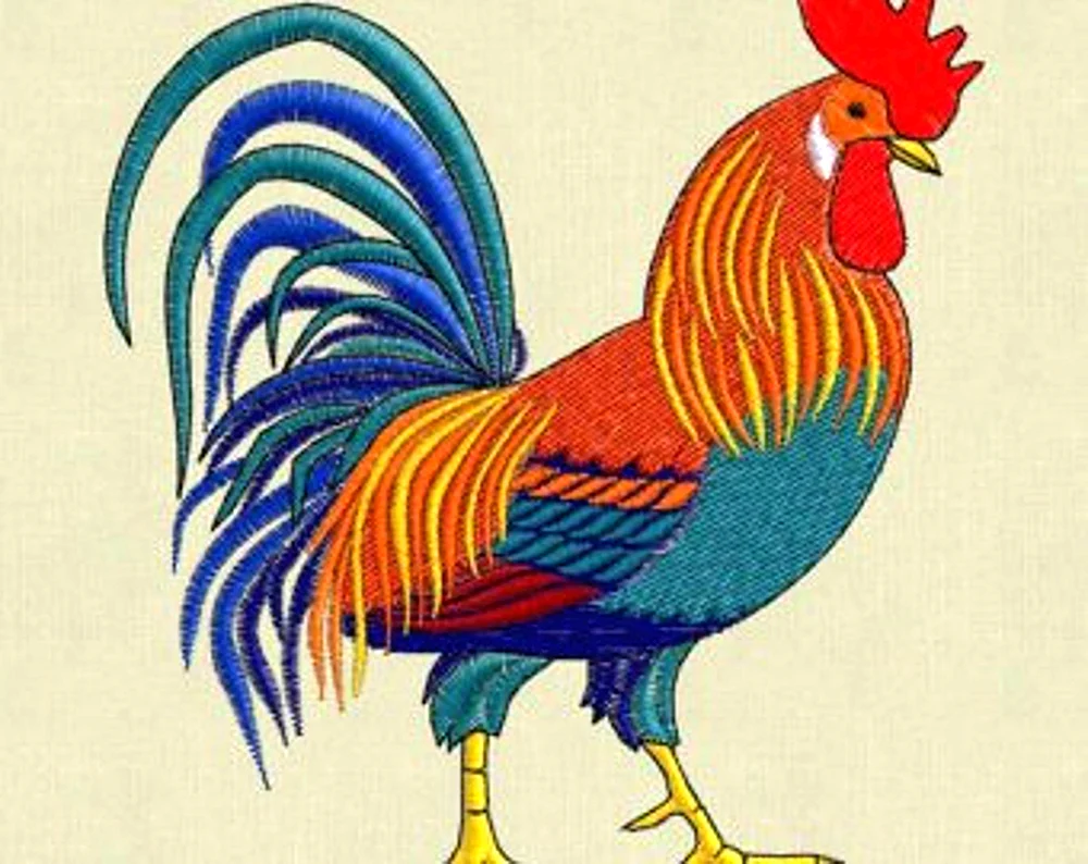 Hahn Ausmalen