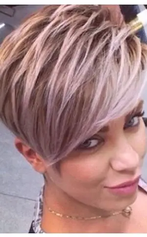 Pixie Bob aschblond