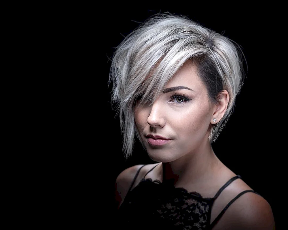 Pixie bob aschblond