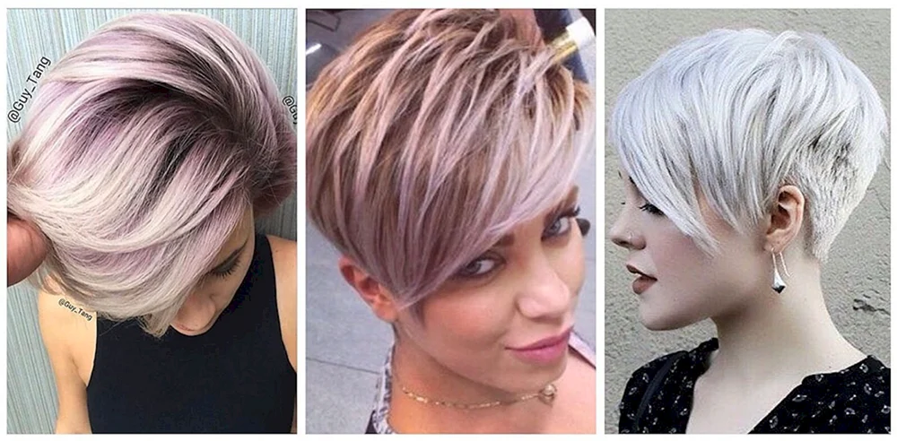 Pixie Bob aschblond