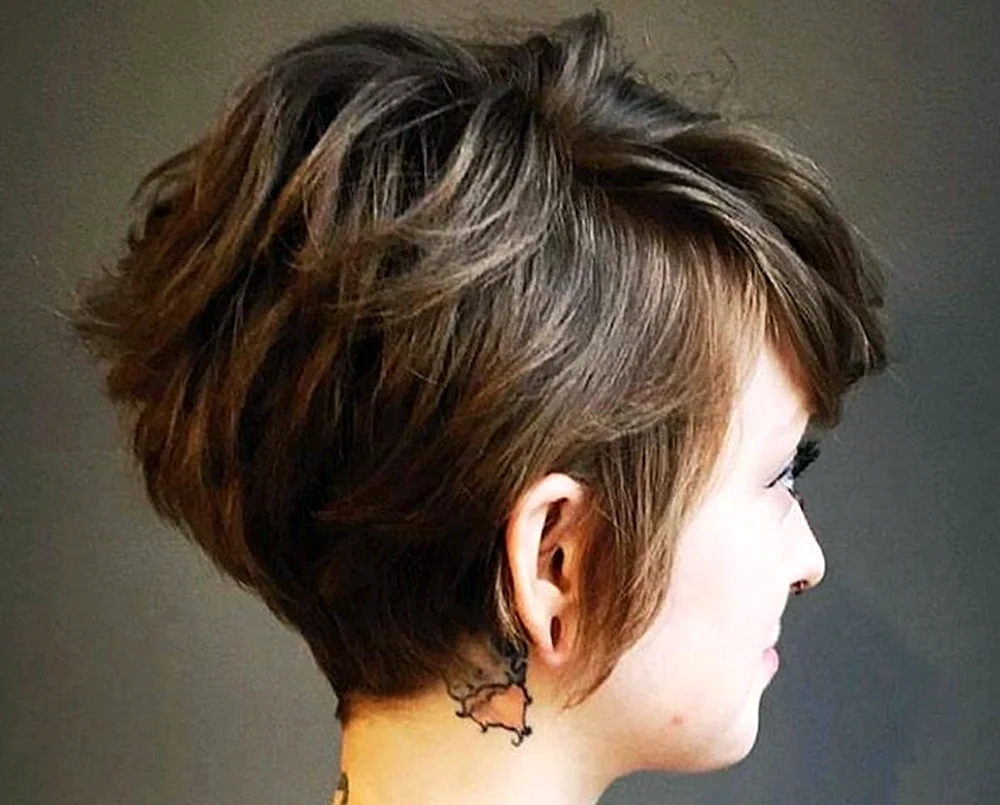Pixie-Bob-Haarschnitt