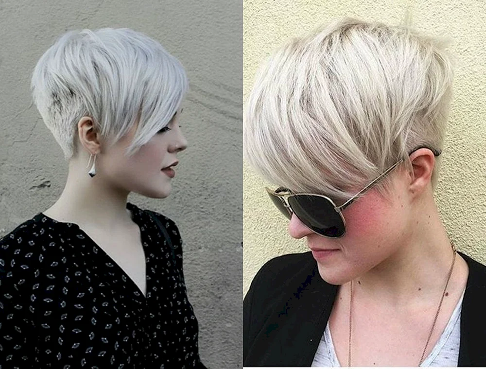 Pixie Bob Haarschnitt blond