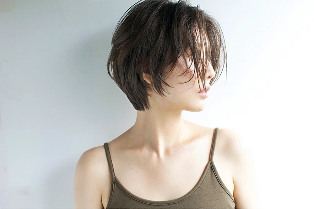 Pixie Bob Haarschnitt Korea