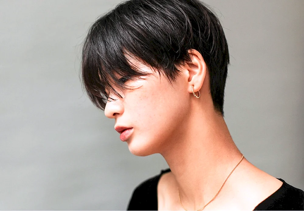 Pixie Bob Haarschnitt Korea