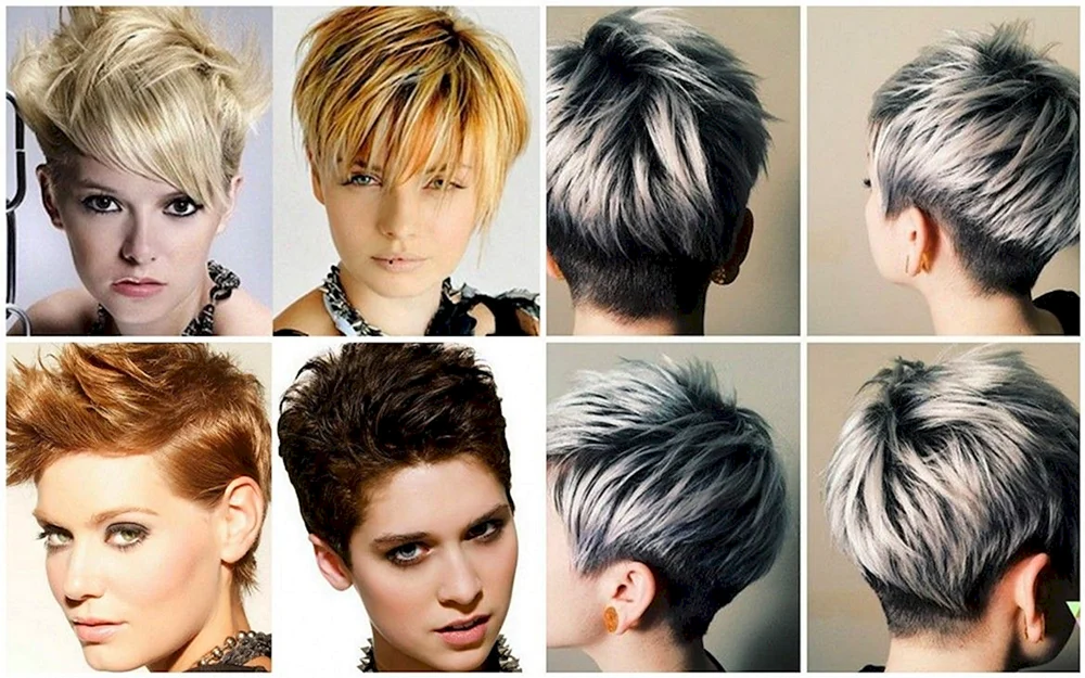 Garson Pixie Bob