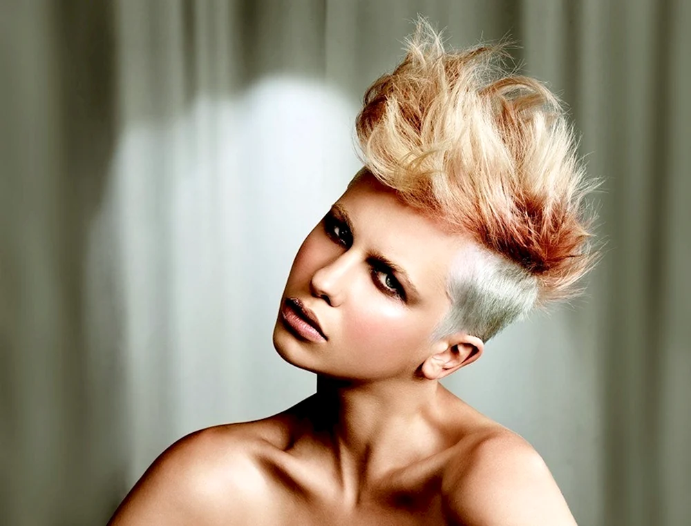 Pixie Kalmanovich Haarschnitt Pixie Gavroche