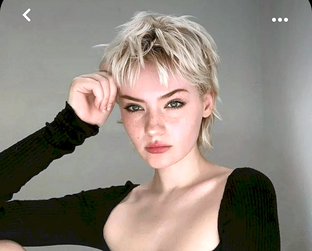 Pixie Mallet Haarschnitt