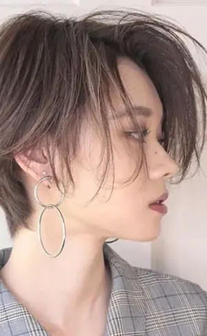 Pixie Bob Haarschnitt Korea