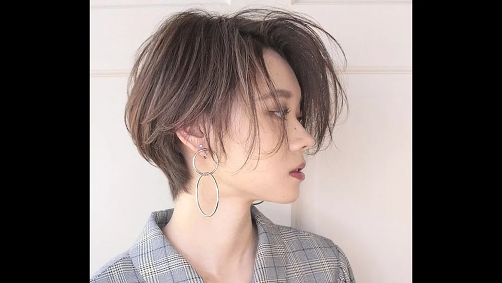 Pixie Bob Haarschnitt Korea