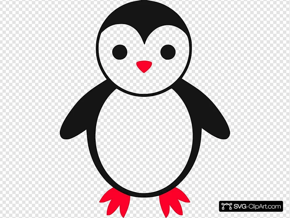 Pinguin zeichnen