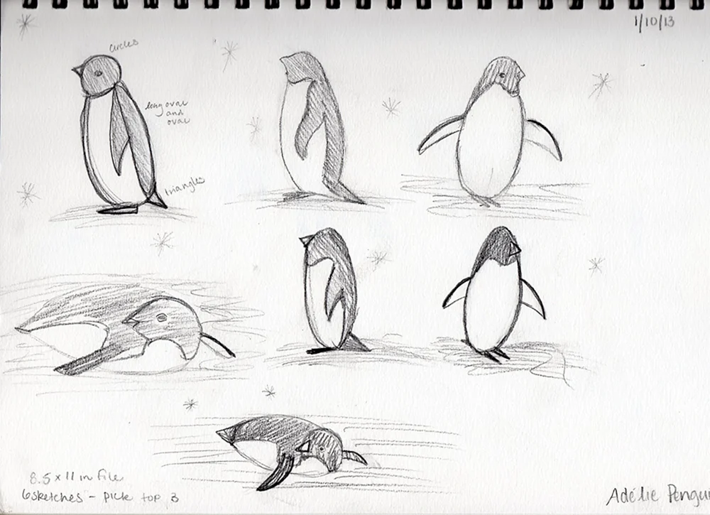 Pinguin Bleistiftzeichnung