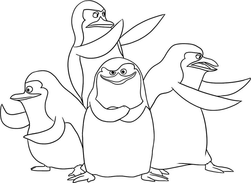 Pinguine von Madagaskar