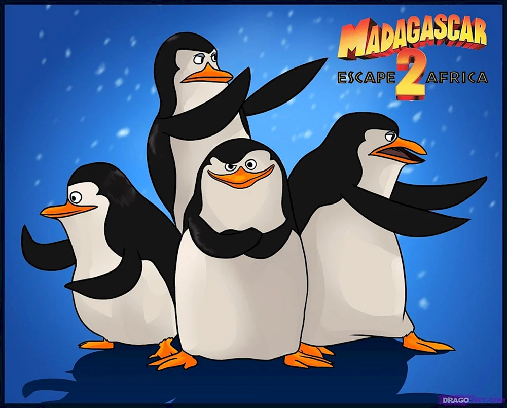 Pinguine aus Madagaskar
