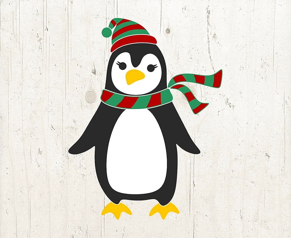 Pinguin Cartoon Pinguine