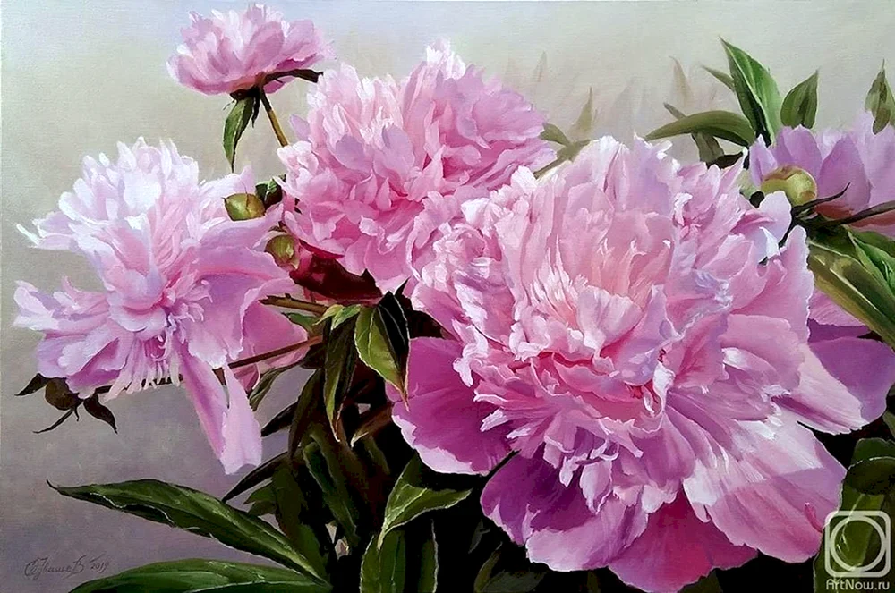 Pfingstrosen Richard Grinham