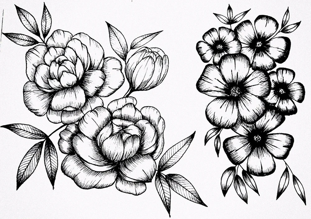 Pion Zentangle