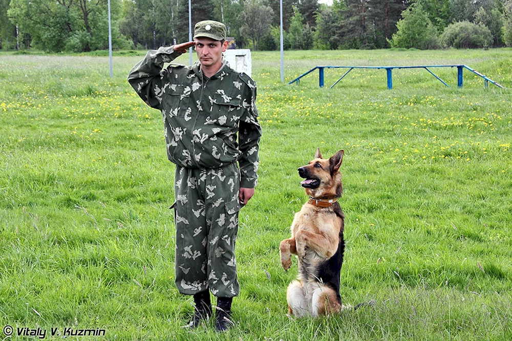 Grenzschutzhundeführer