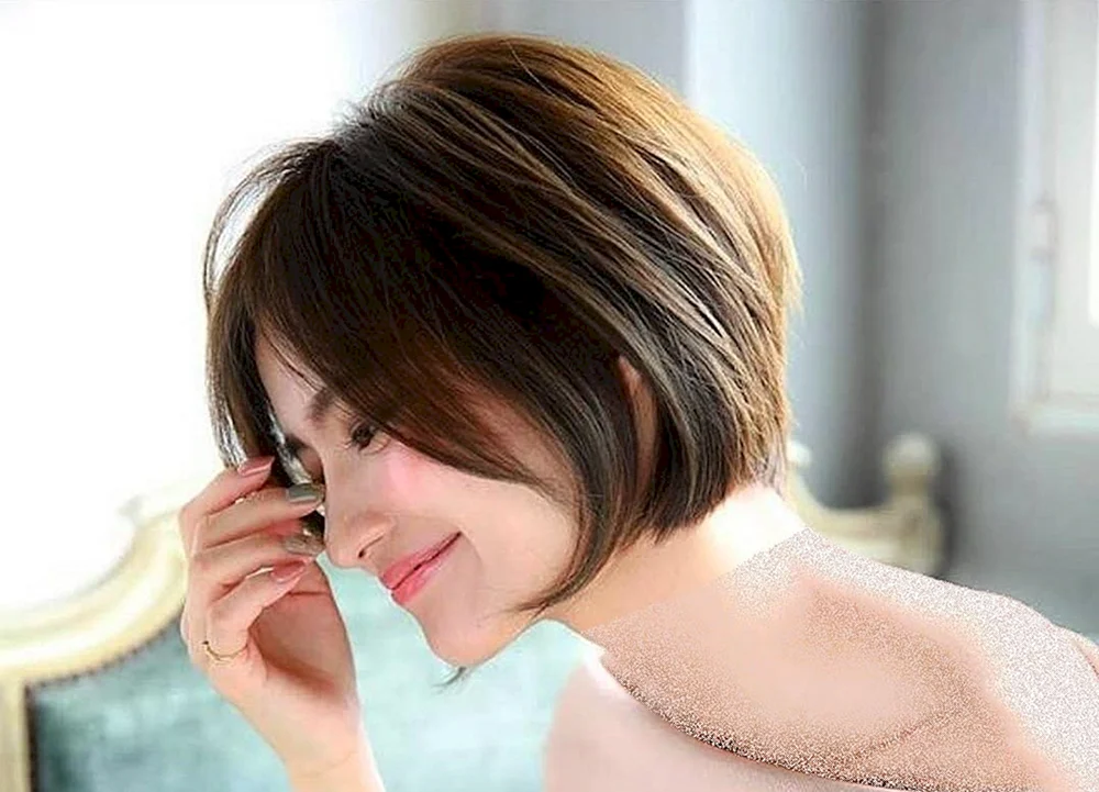 Pixie Bob Haarschnitt Korea