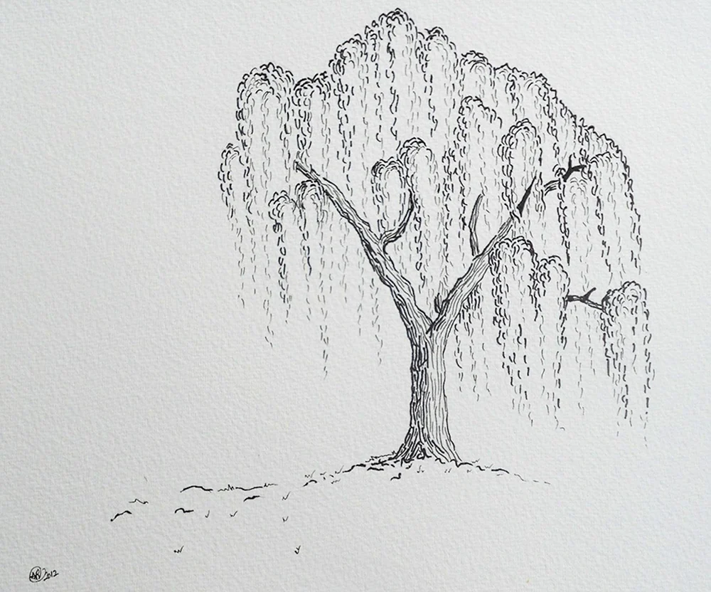 Baum mit Bleistift zeichnen