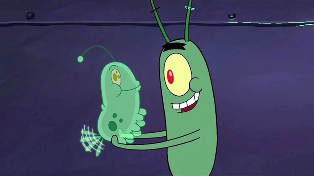 Zooplankton. Löffelstör