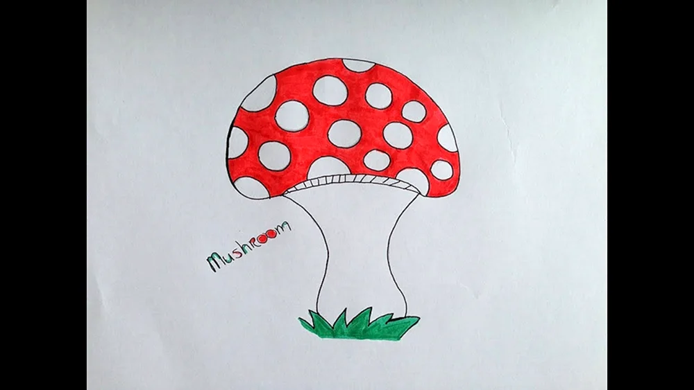 Pilz Bleistiftzeichnung