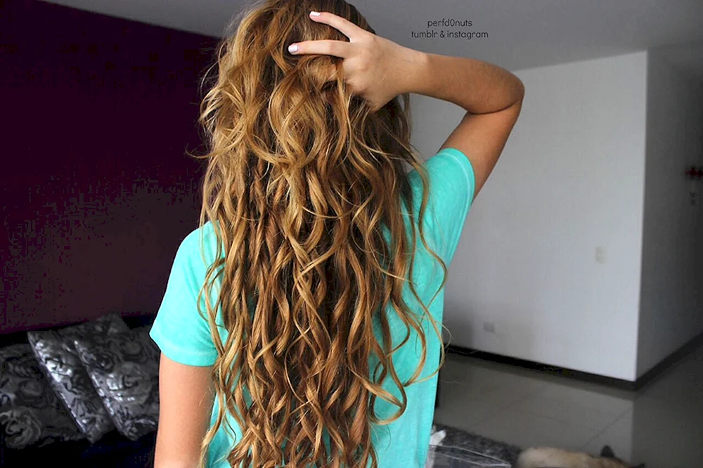 Bob-Locken