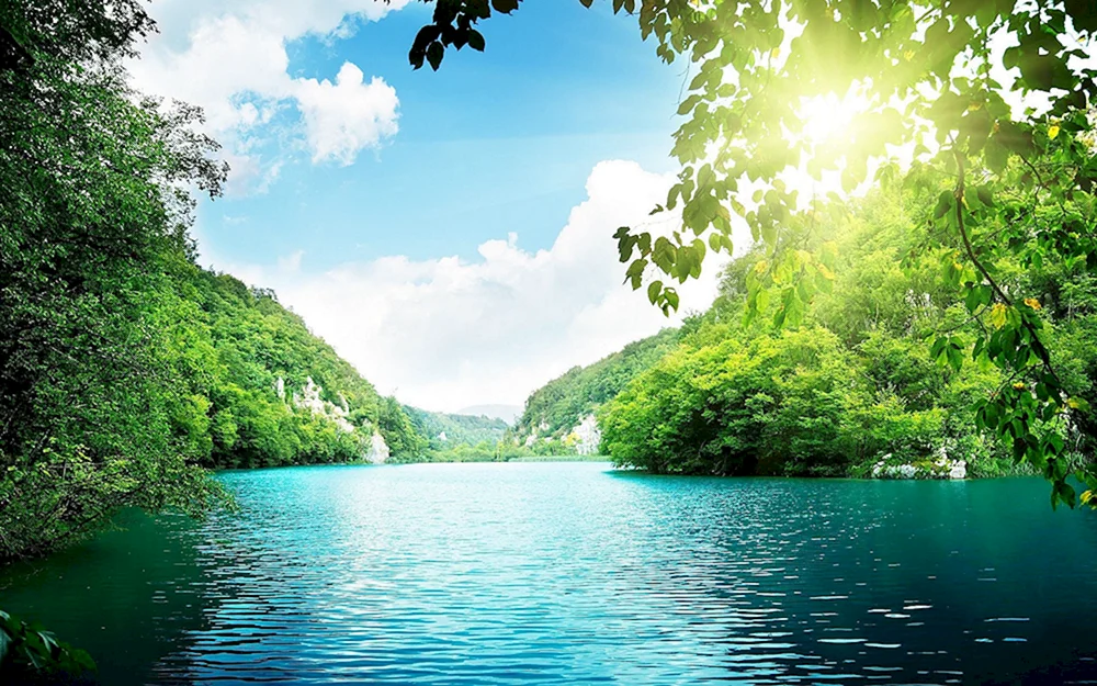 Sonnige Landschaft