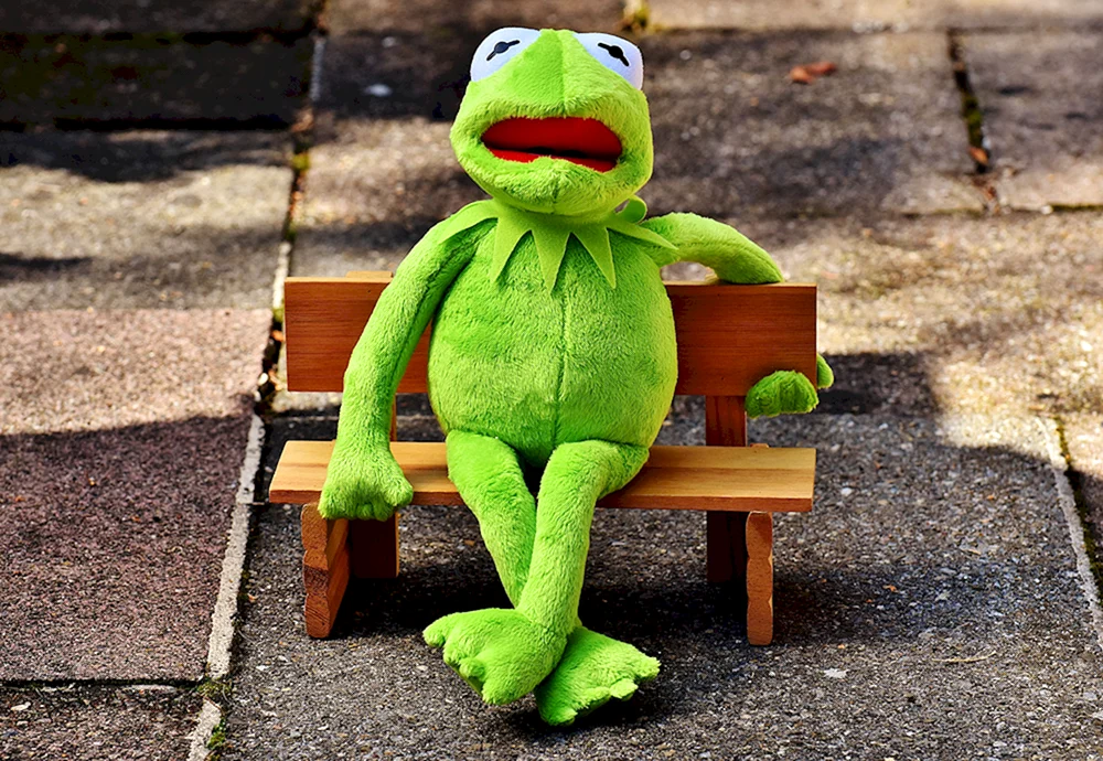 Peppa Schweinchen Frosch