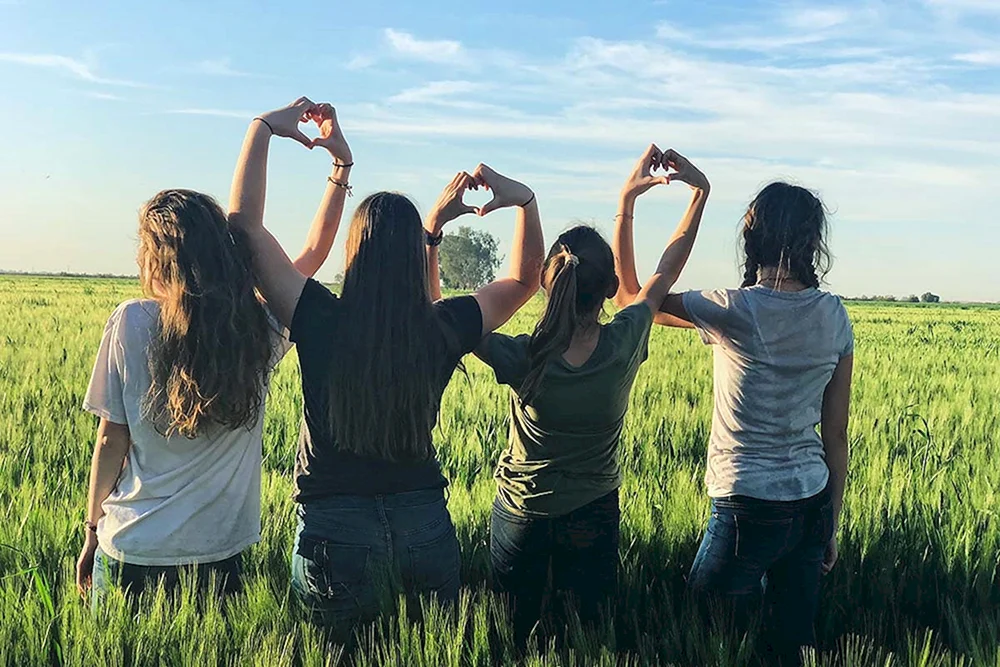 Freunde im Sonnenuntergang