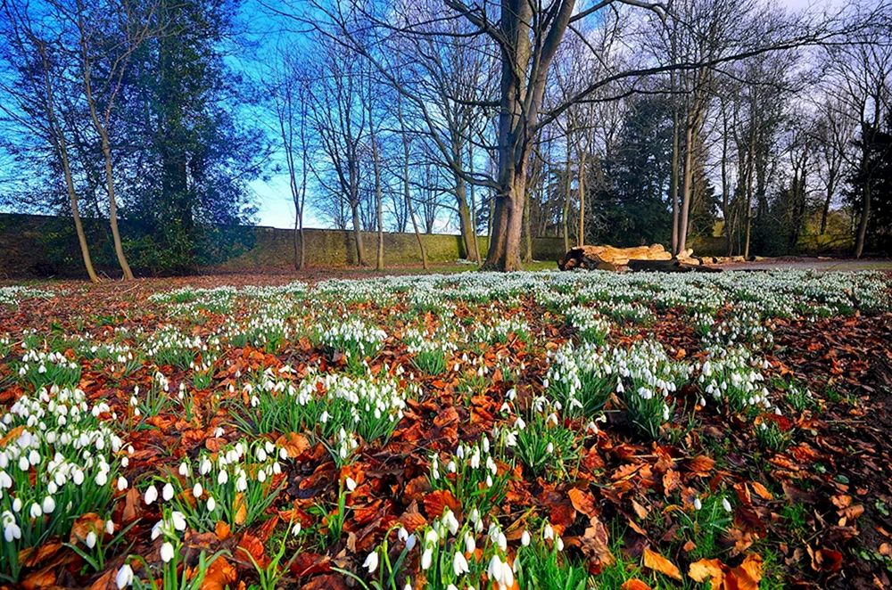 Igor Zenin Fotograf Frühling