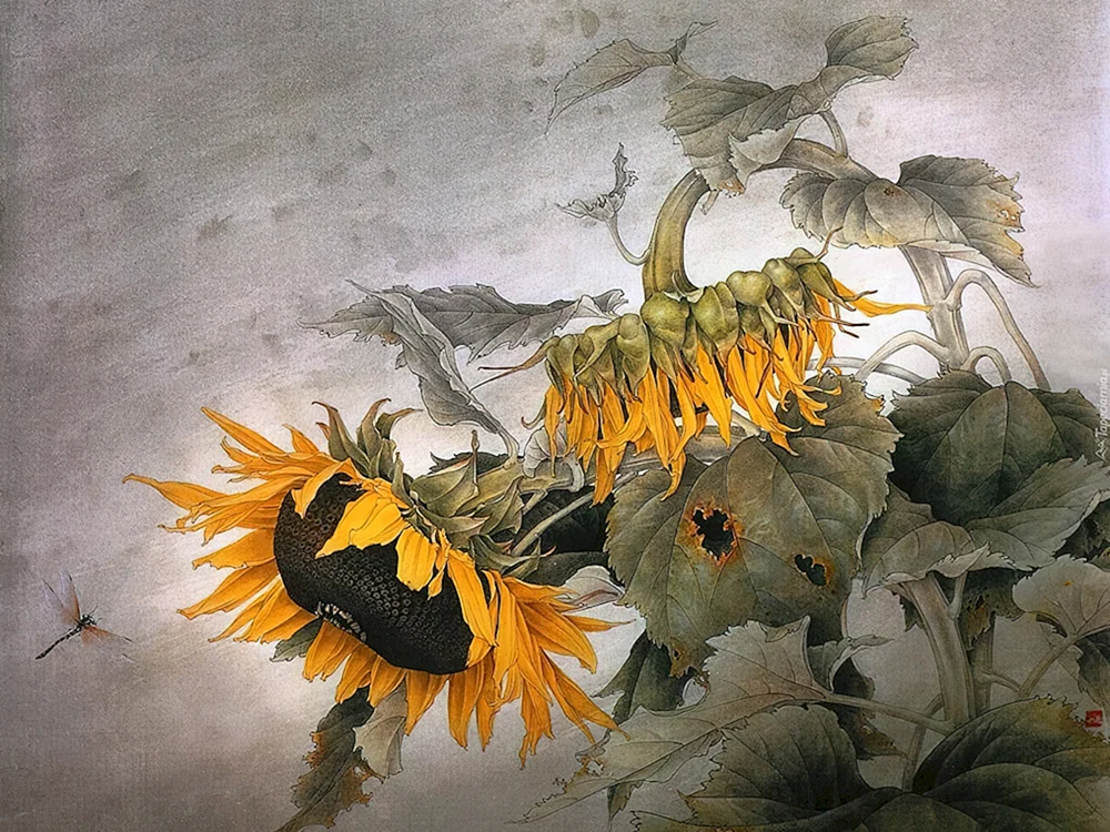 Gungbi-Chrysanthemen