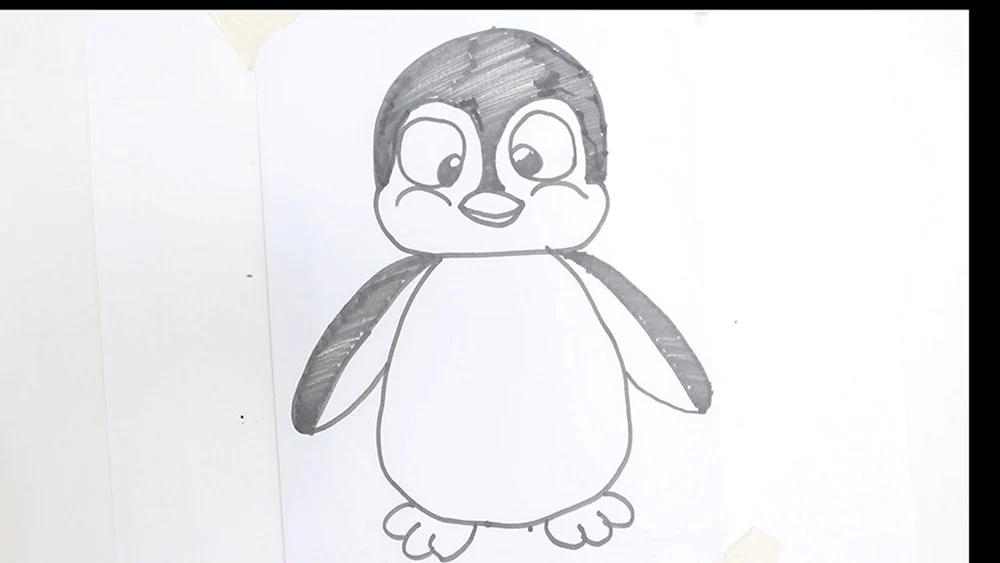 Schritt-für-Schritt-Zeichnung eines Pinguins
