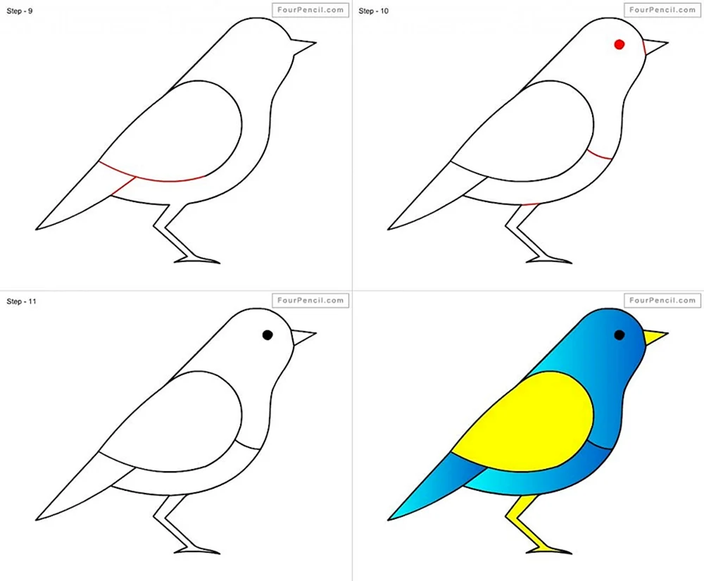 Vögel ausmalen