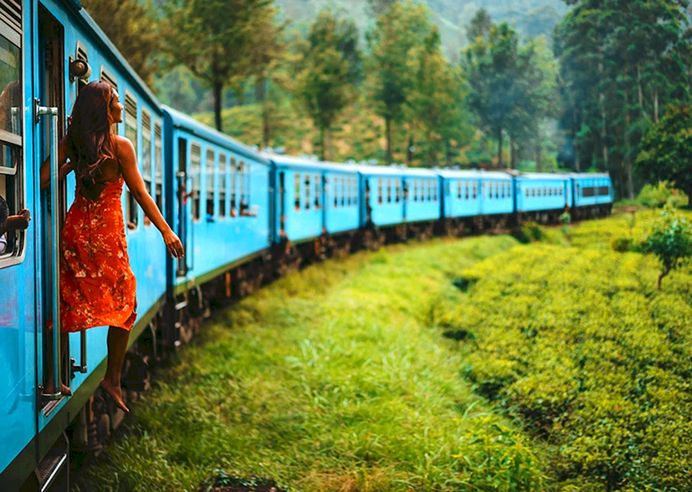 Ella train Sri Lanka