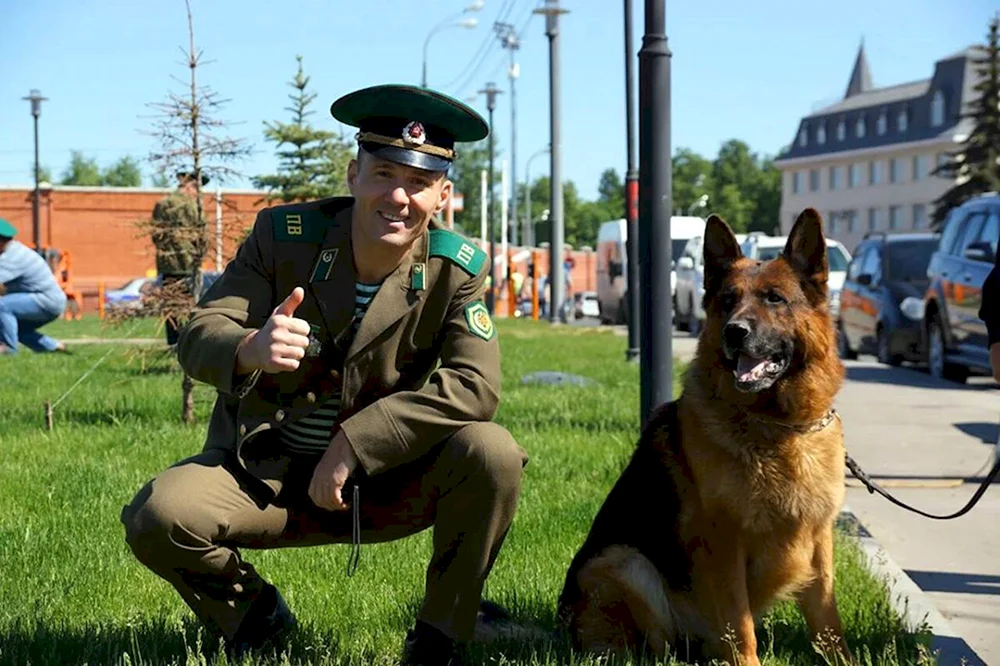 Border Dog Scarlet Film