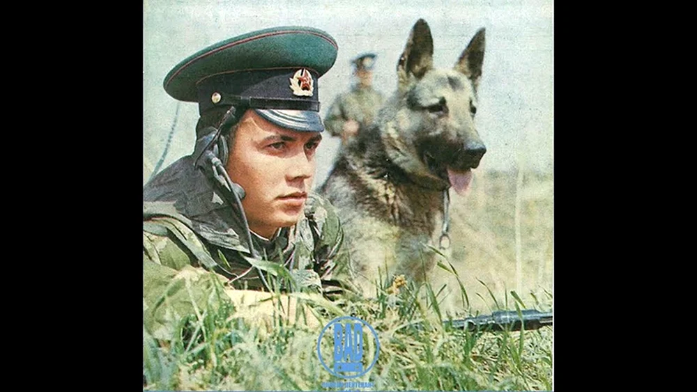 Deutscher Schäferhund Diensthund