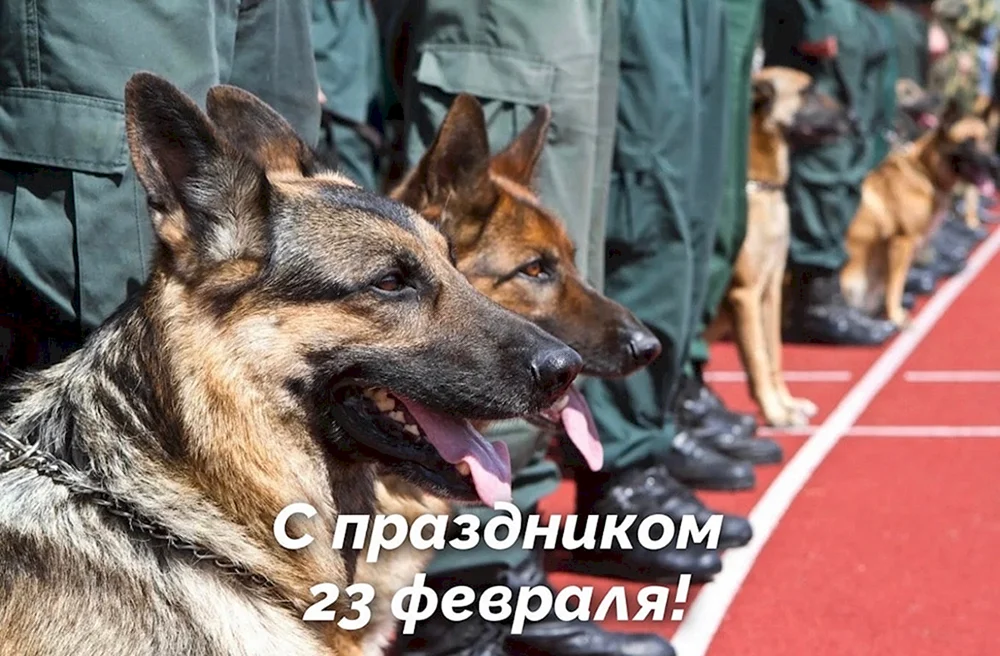Grenztruppen Deutscher Schäferhund
