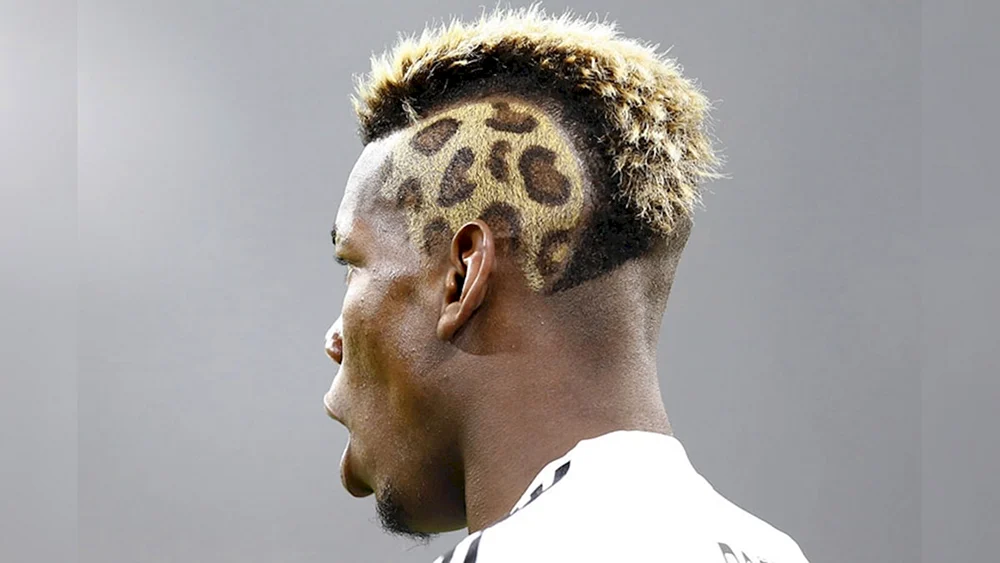 Paul Pogba Frisur