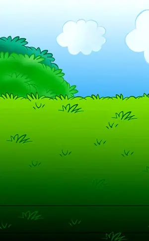 Wiesenbild