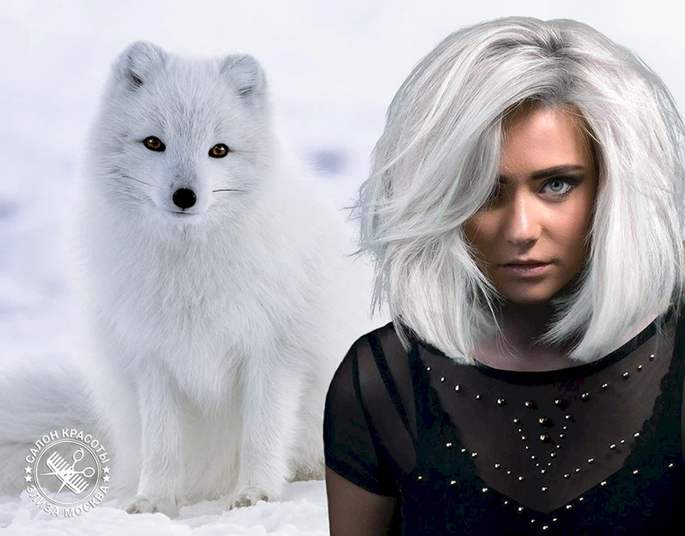 Polar blond