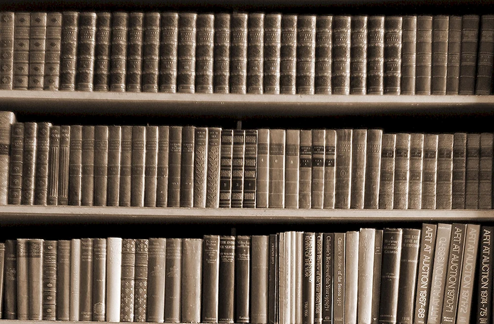Buchregale