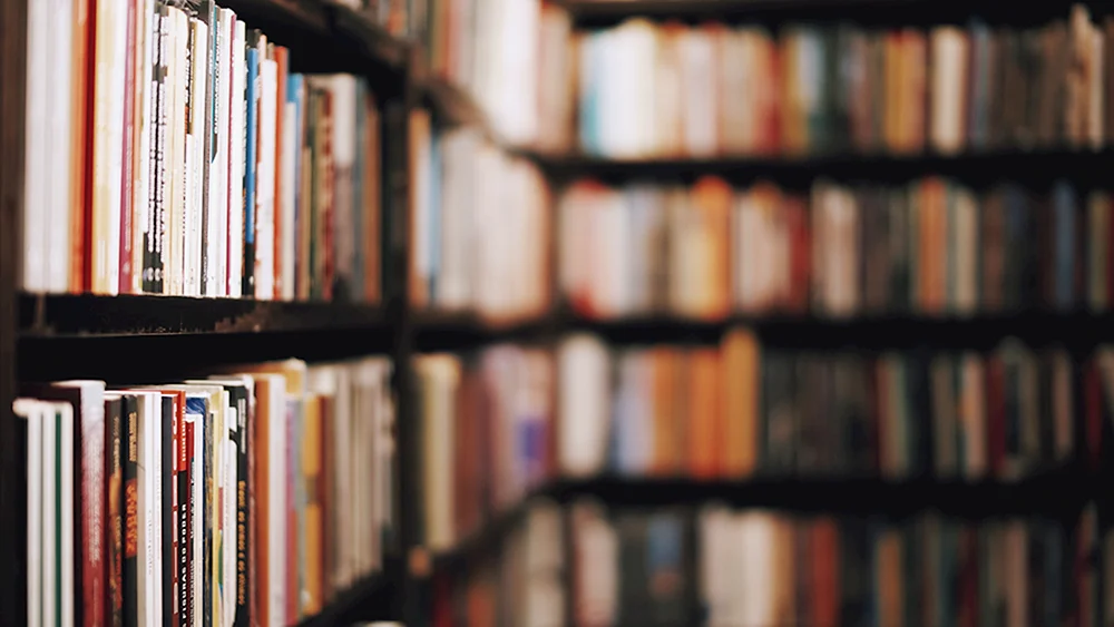 Bücherregale