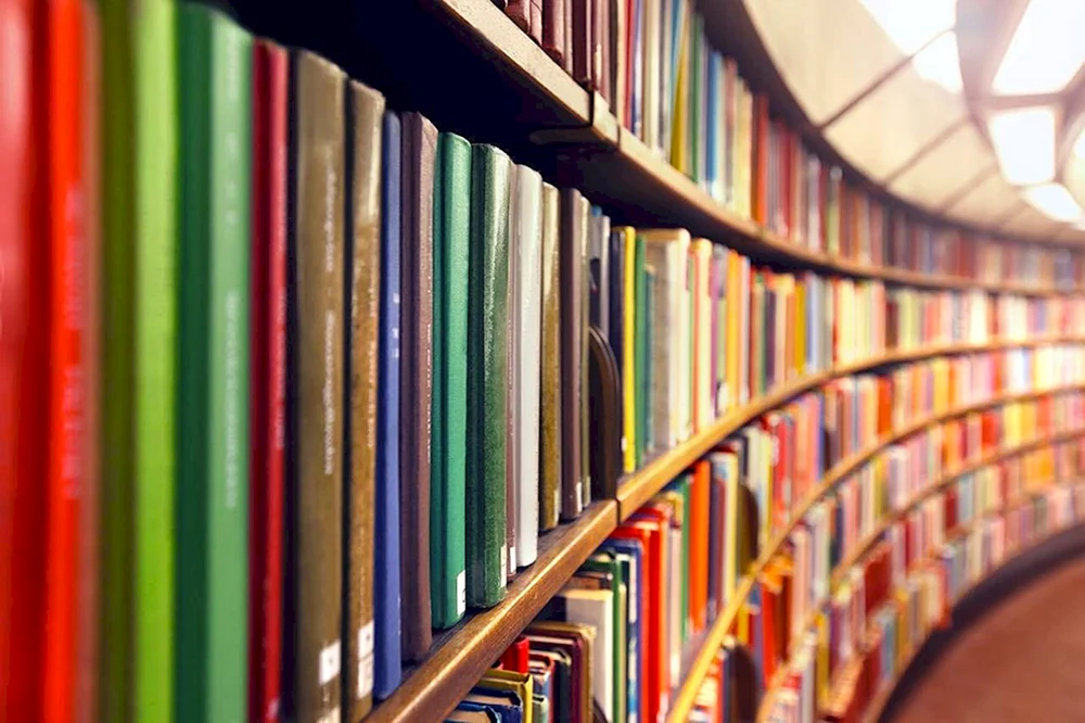 Bibliothek