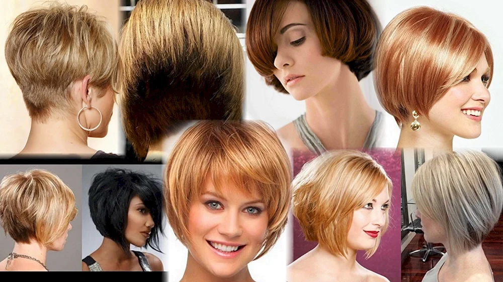 Stufiger Bob bob bob 2022