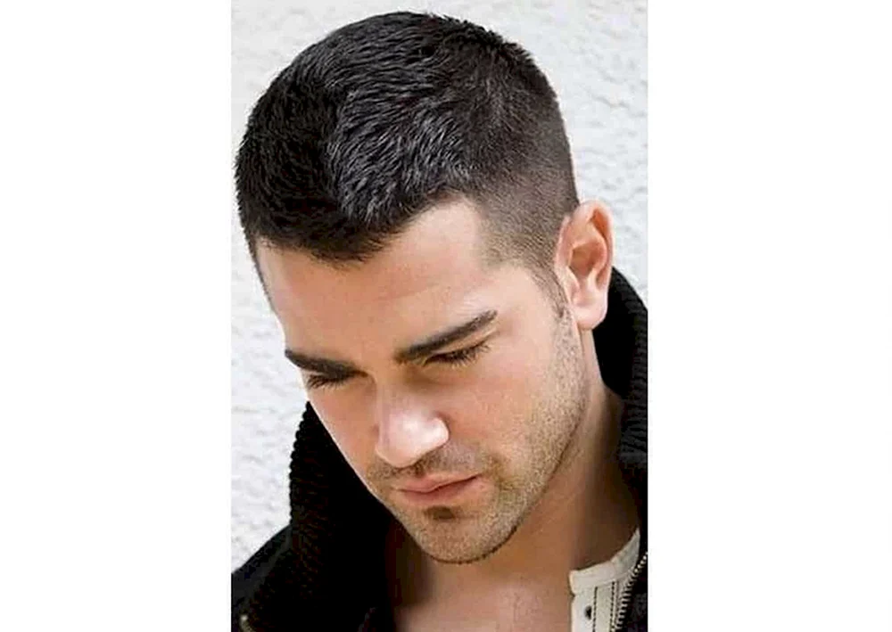 Andercat Pompadour