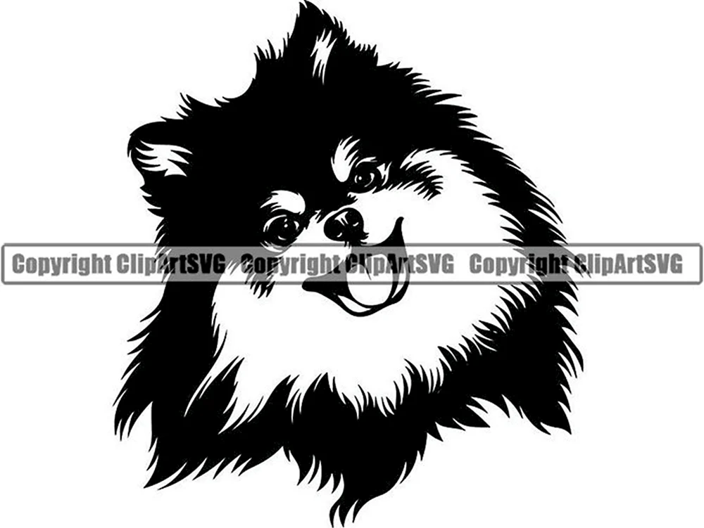 Pomeranian Spitz Silhouette